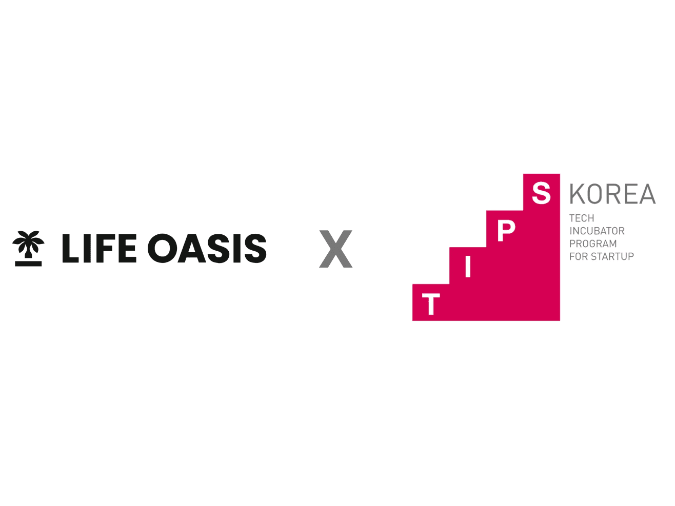 글로벌 언어교환 앱 '마음' 운영사 '라이프 오아시스', 팁스 선정